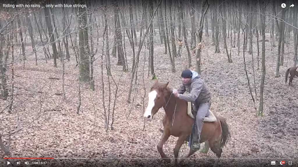 Jahanje bez uzdi , samo sa plavim špagicama