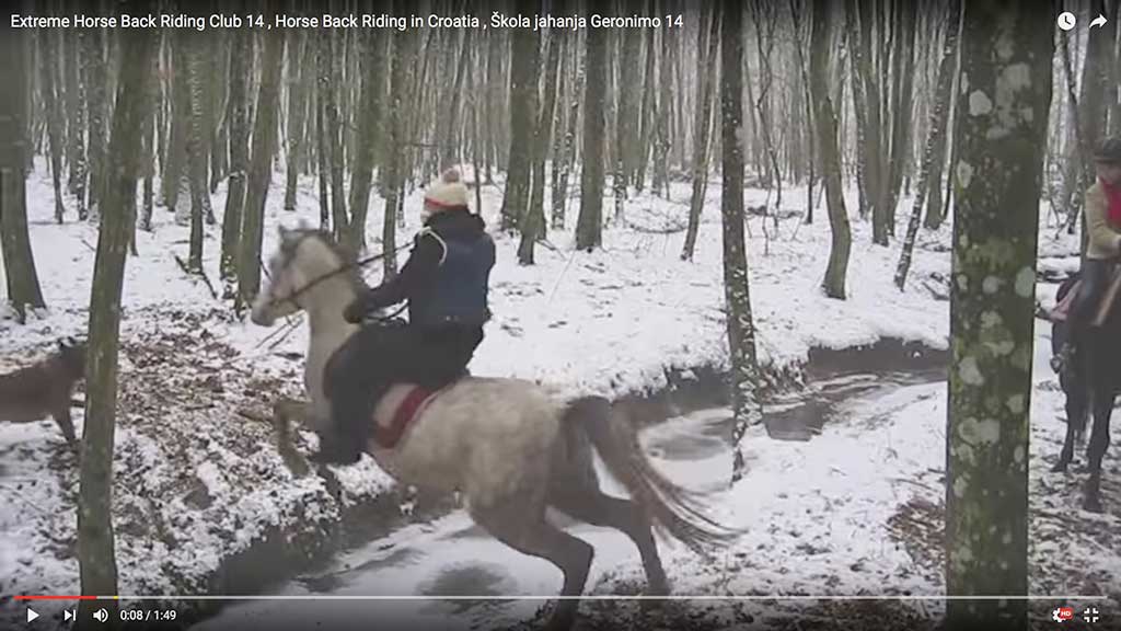 Jumping horses across the creek in winter on the frozen ground